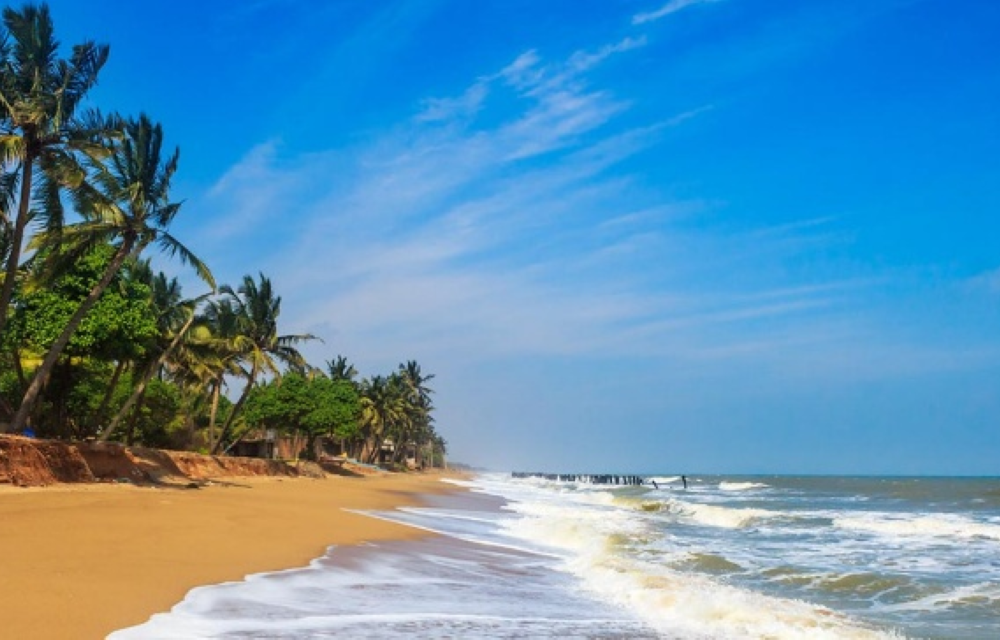  Auro beach  <br/> 500 mtrs from Conch